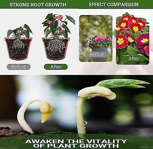 Special Bone Meal Organic Fertilizer, Promote The Growth Of Flowers And Fruits Pack of 1